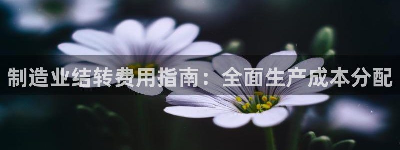 下载彩神v8
