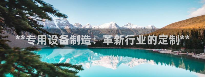 彩神赢钱了吗是真的吗：**专用设备制造：革新行业的定制**