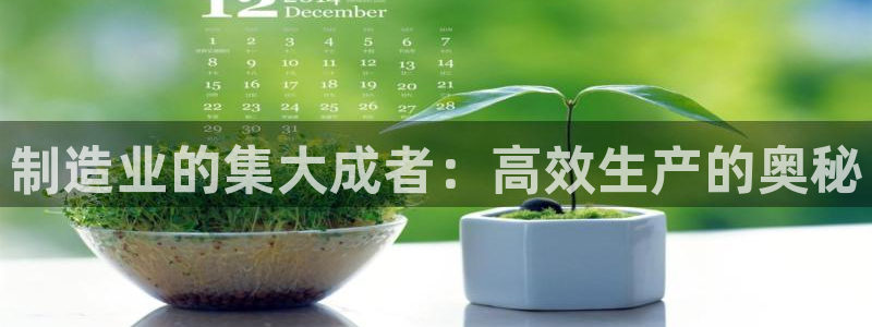 彩神的邀请码是多少：制造业的集大成者：高效生产的奥秘
