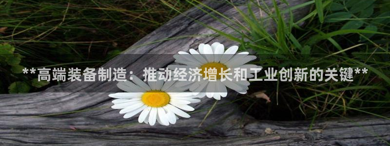彩神vii官网大赢家：**高端装备制造：推动经济增长和工业创新的关键**