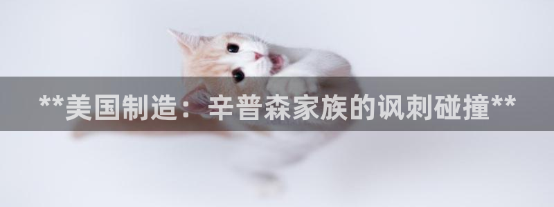彩神网能赚钱是怎么回事：**美国制造：辛普森家族的讽刺碰撞**