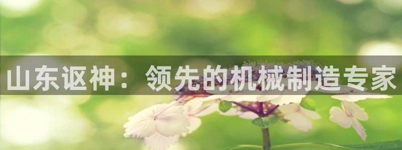 彩神v：山东讴神：领先的机械制造专家