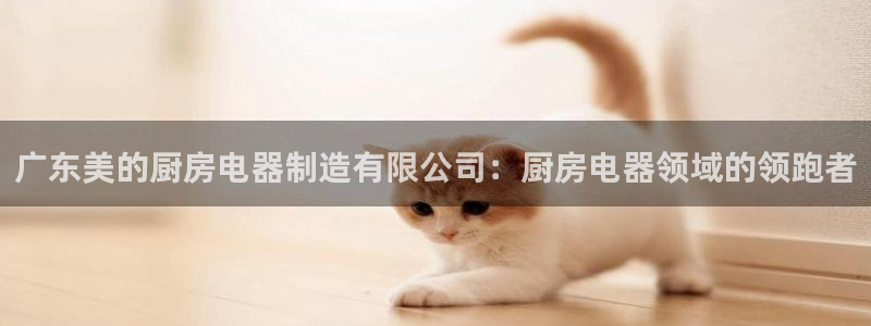 彩神大发如何观察走势：广东美的厨房电器制造有限公司：厨房电器