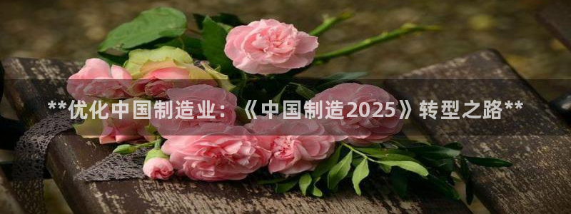 彩神广告有限公司：**优化中国制造业：《中国制造2025》转
