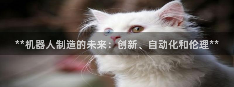 彩神vip购彩：**机器人制造的未来：创新、自动化和伦理**