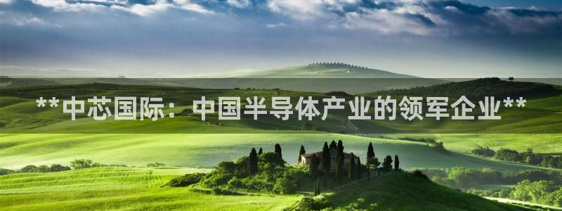 彩神8最新版下载：**中芯国际：中国半导体产业的领军企业**