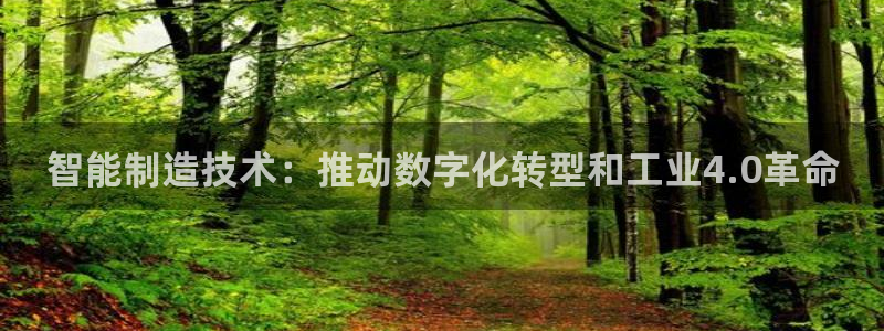 彩神是怎样一个平台：智能制造技术：推动数字化转型和工业4.0革命