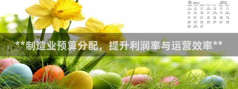 彩神vl官网：**制造业预算分配，提升利润率与运营效率**
