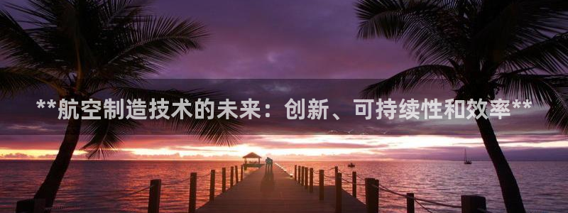 彩神V3大赢家：**航空制造技术的未来：创新、可持续性和效率**