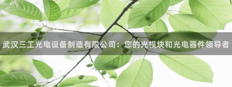 彩神v8下载网址：武汉三工光电设备制造有限公司：您的光模块和光电器件领导者