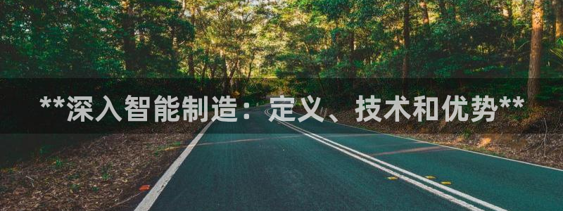 彩神输的钱是赌博还是诈骗：**深入智能制造：定义、技术和优势**