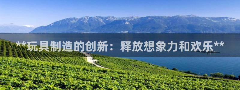 彩神通关注码金码对应码：**玩具制造的创新：释放想象力和欢乐**