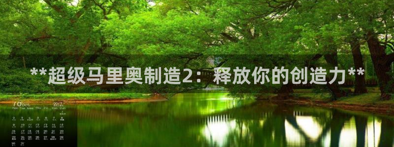 大发彩神官网下载：**超级马里奥制造2：释放你的创造力**