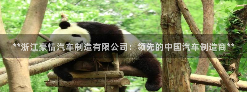 彩神 好 平台：**浙江豪情汽车制造有限公司：领先的中国汽车制造商**