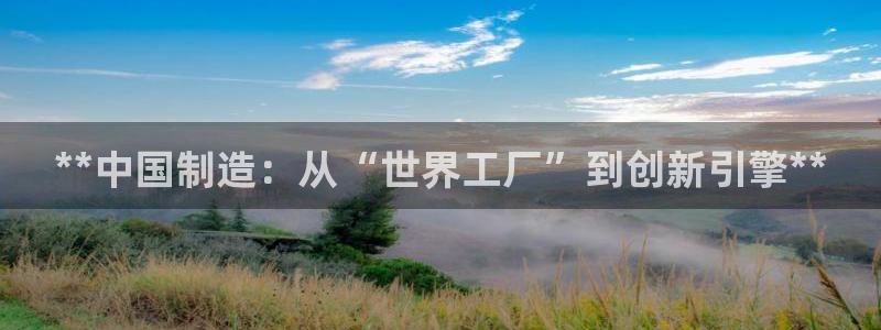 彩神v8首页：**中国制造：从“世界工厂”到创新引擎**