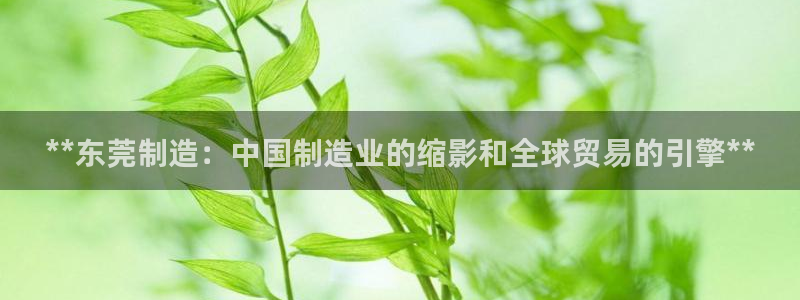 天天赢彩神：**东莞制造：中国制造业的缩影和全球贸易的引擎**