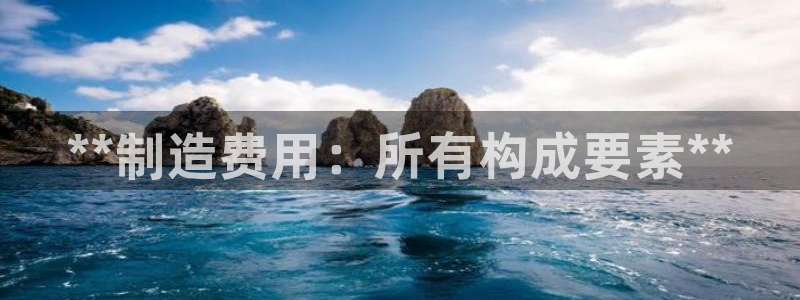彩神VII官方版：**制造费用：所有构成要素**