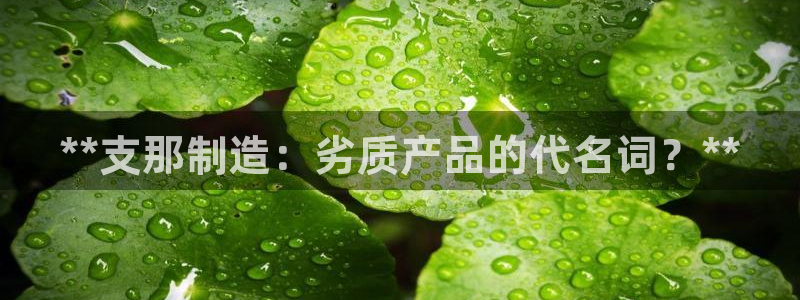 彩神网合法吗：**支那制造：劣质产品的代名词？**