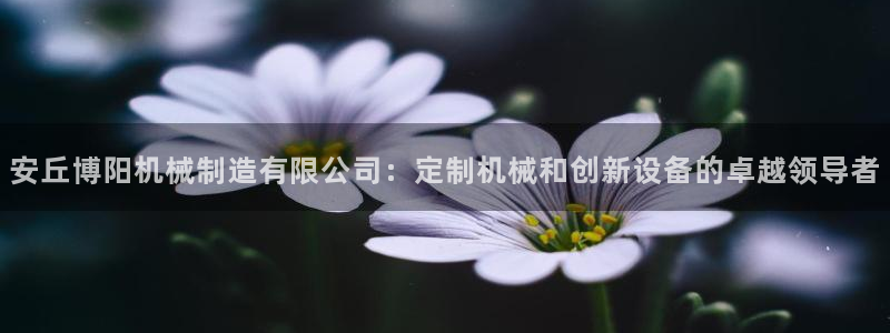 彩神vll官网在线登录：安丘博阳机械制造有限公司：定制机械和创新设备的卓越领导者