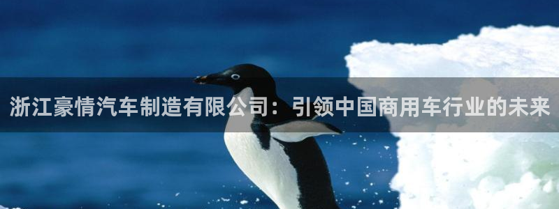 彩神viii官网：浙江豪情汽车制造有限公司：引领中国商用车行业的未来