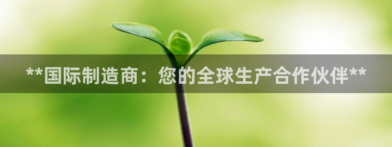 彩神盈利图片：**国际制造商：您的全球生产合作伙伴**