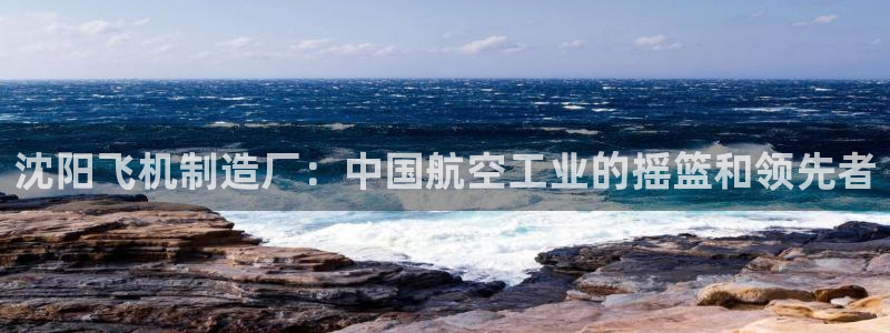 彩神V集团公司