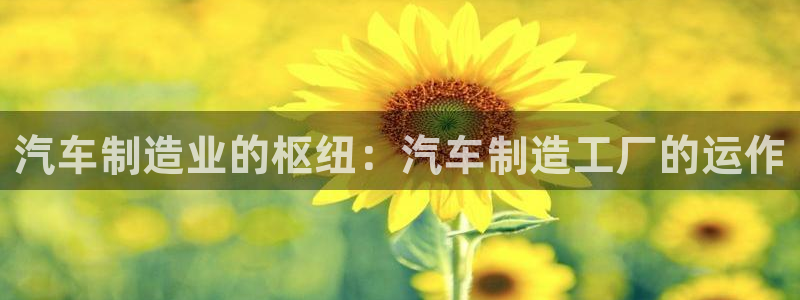 彩神客服电话