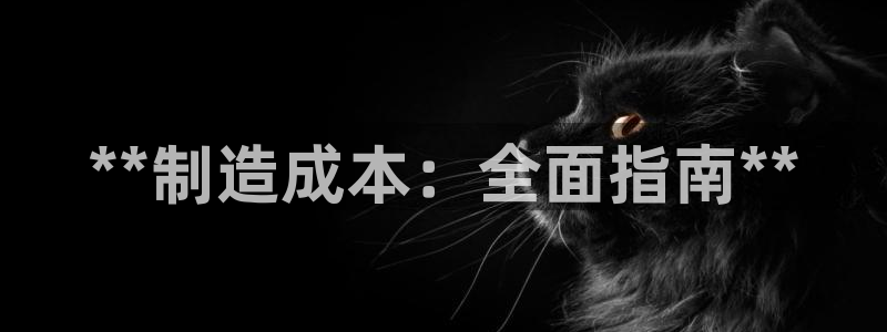 彩神是怎样一个平台：**制造成本：全面指南**