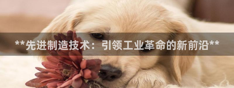 彩神官方邀请码是多少：**先进制造技术：引领工业革命的新前沿