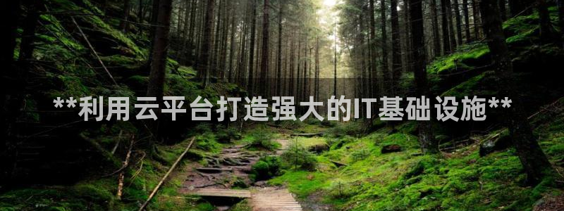 彩神ll能赚钱吗：**利用云平台打造强大的IT基础设施**