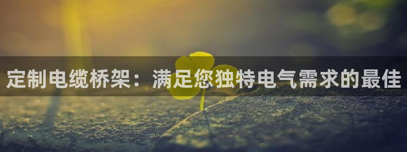 v大发彩神8iii：定制电缆桥架：满足您独特电气需求的最佳