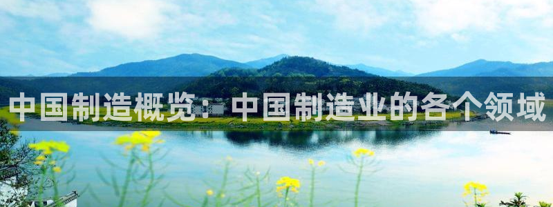 彩神vll首页：中国制造概览：中国制造业的各个领域