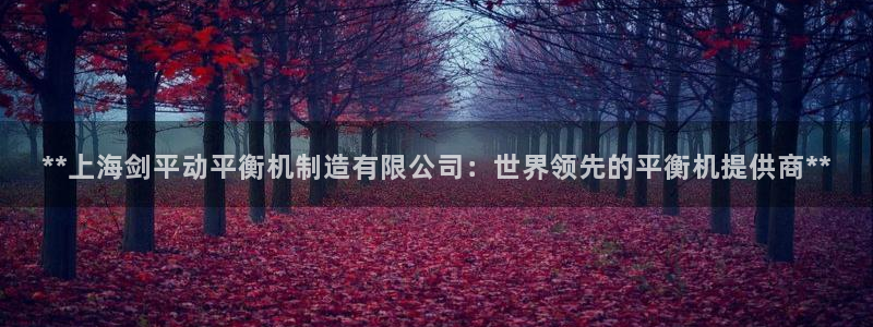 彩神v8iii：**上海剑平动平衡机制造有限公司：世界领先的平衡机提供商**