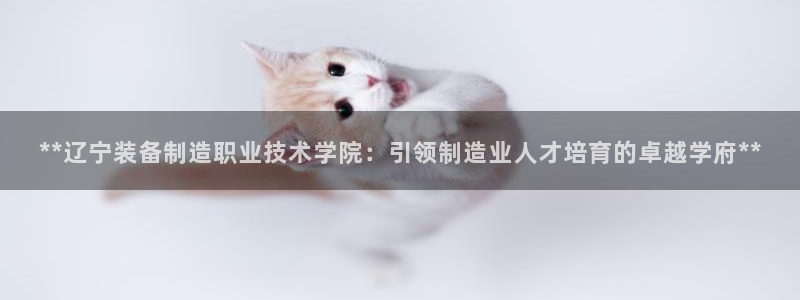 彩神大发云：**辽宁装备制造职业技术学院：引领制造业人才培育的卓越学府**