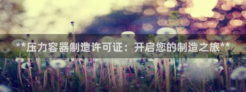 新版彩神v8登录不上去：**压力容器制造许可证：开启您的制造之旅**