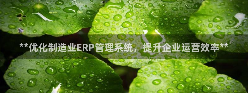 彩神大发三期计划网站：**优化制造业ERP管理系统，提升企业运营效率**