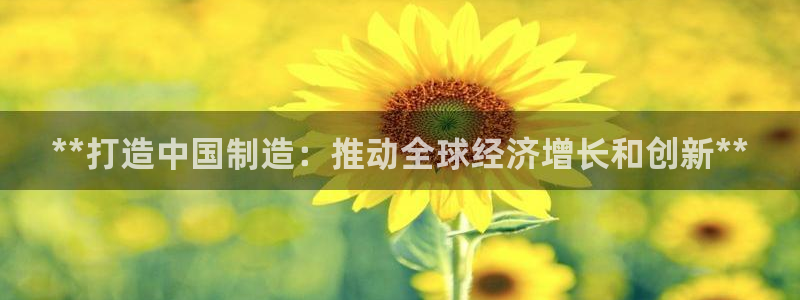 彩神平台是什么套路：**打造中国制造：推动全球经济增长和创新**