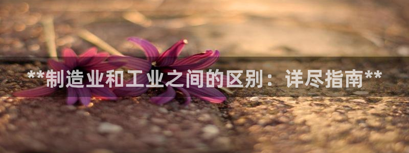 彩神网官网登录：**制造业和工业之间的区别：详尽指南**