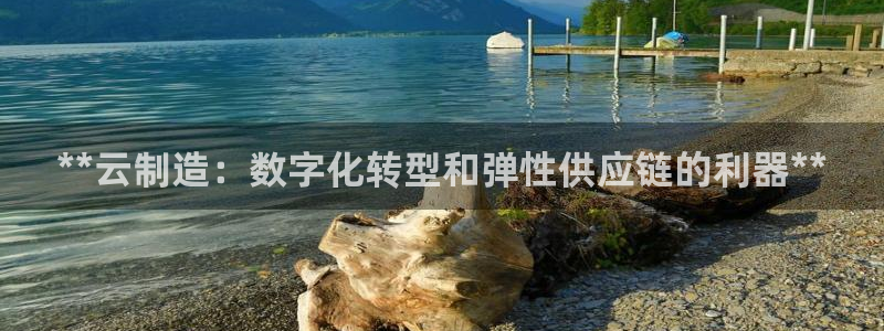 新版彩神v8登录不上去：**云制造：数字化转型和弹性供应链的利器**