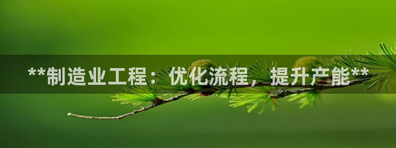 彩神大发黑平台：**制造业工程：优化流程，提升产能**
