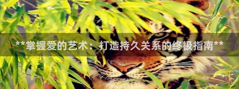 彩神vip购彩：**掌握爱的艺术：打造持久关系的终极指南**