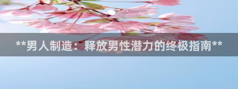彩神v8是一个什么平台：**男人制造：释放男性潜力的终极指南**