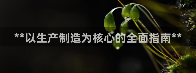 彩神8彩平台客服：**以生产制造为核心的全面指南**