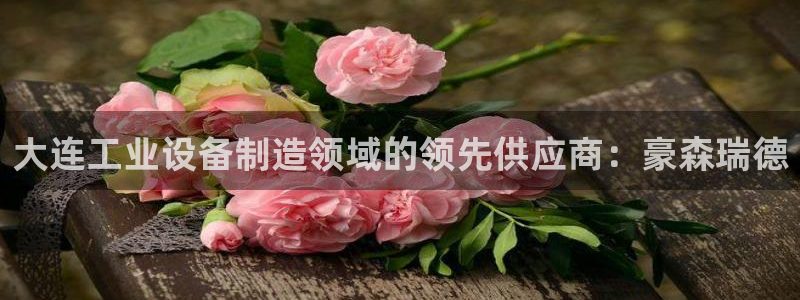 彩神网可以赚钱是真的吗：大连工业设备制造领域的领先供应商：豪森瑞德