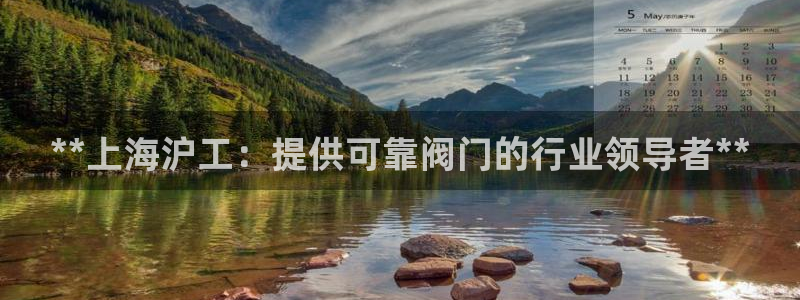彩神天下专家专栏：**上海沪工：提供可靠阀门的行业领导者**