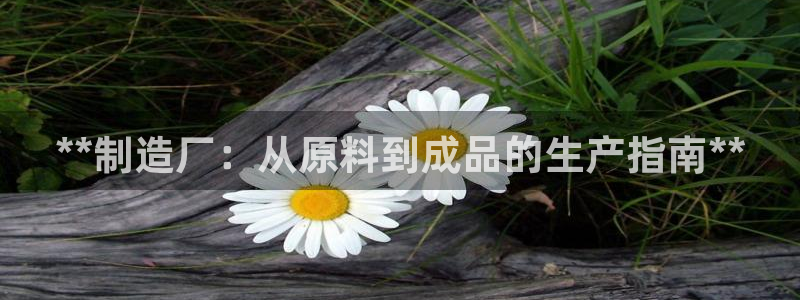 彩神vlll官网网上购彩：**制造厂：从原料到成品的生产指南