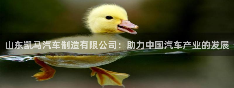 彩神旗下有哪些平台可以玩：山东凯马汽车制造有限公司：助力中国汽车产业的发展