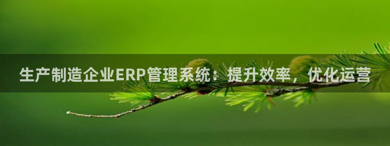 彩神v8平台正规吗安全吗：生产制造企业ERP管理系统：提升效率，优化运营
