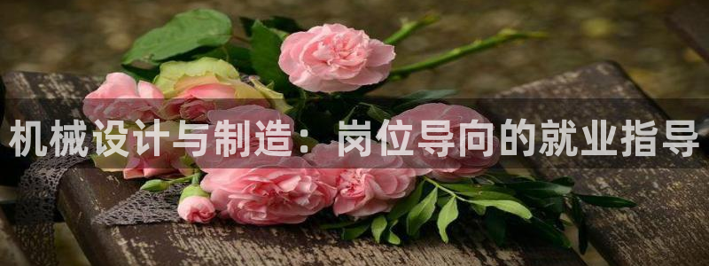 彩神VII官方版：机械设计与制造：岗位导向的就业指导