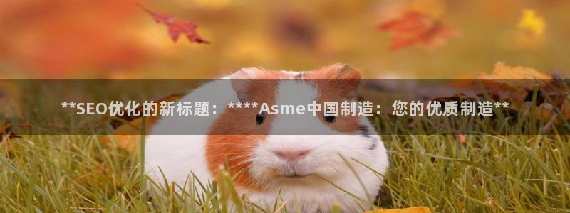 彩神8购彩-购彩大厅：**SEO优化的新标题：****Asme中国制造：您的优质制造**
